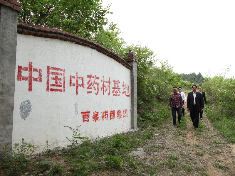 mg不朽情缘官网药都中药材种植基地